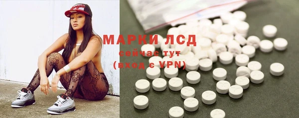 молекула духа Арсеньев