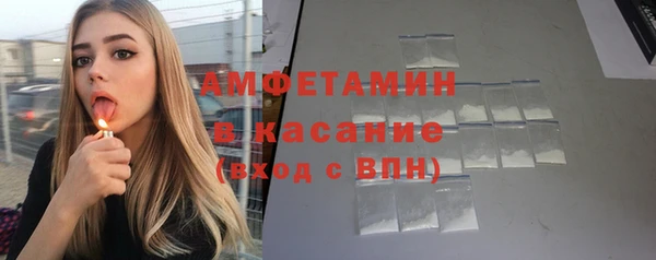 молекула духа Арсеньев