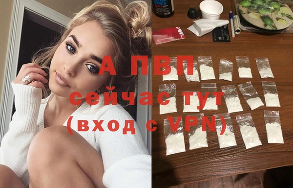 молекула духа Арсеньев