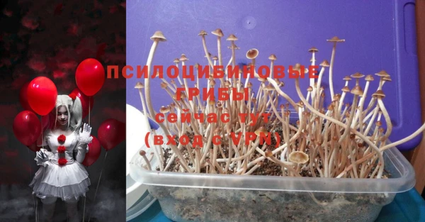 ПСИЛОЦИБИНОВЫЕ ГРИБЫ Абдулино