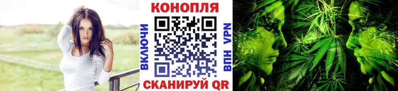 Бошки Шишки тримм  мега как войти  Невинномысск 